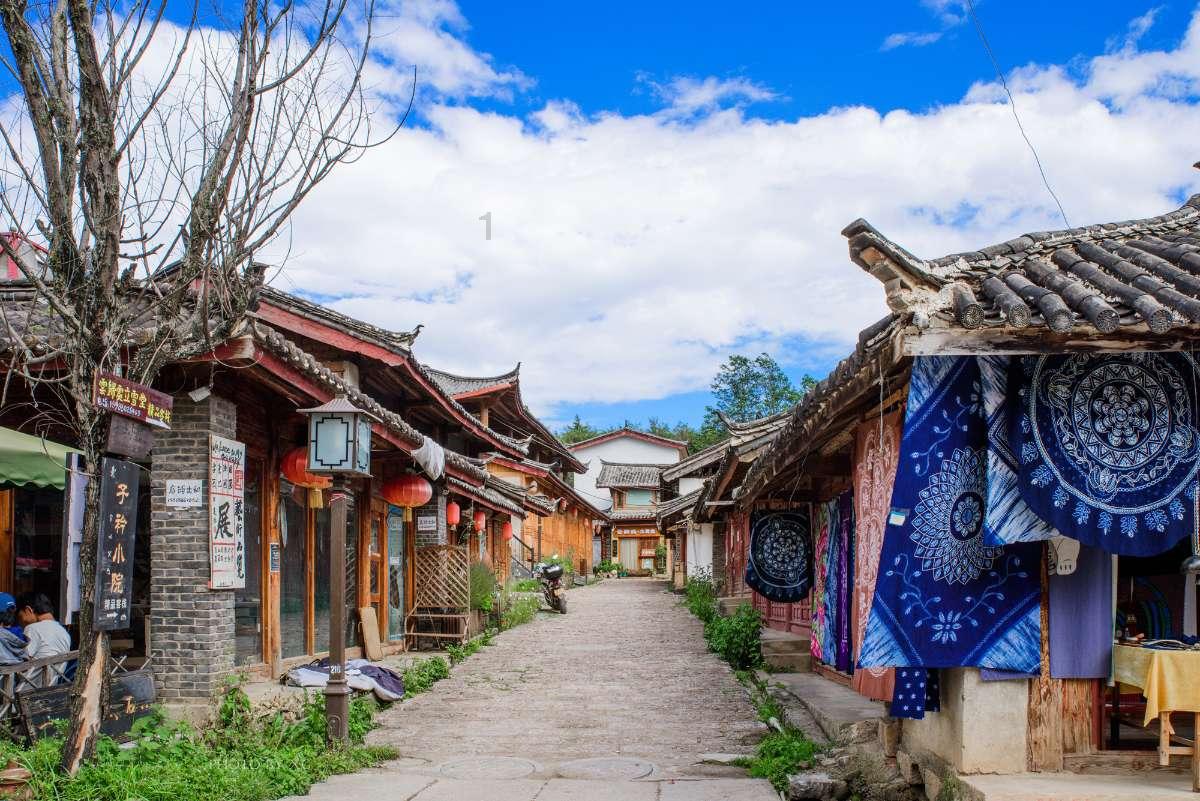 逃离金刚鹦鹉森林